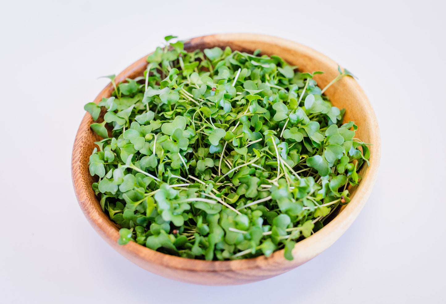 Broccoli Microgreens