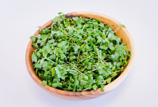 Broccoli Microgreens