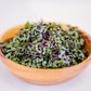 Cabbage Microgreens