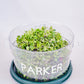 GreenKeepers - Customized Container