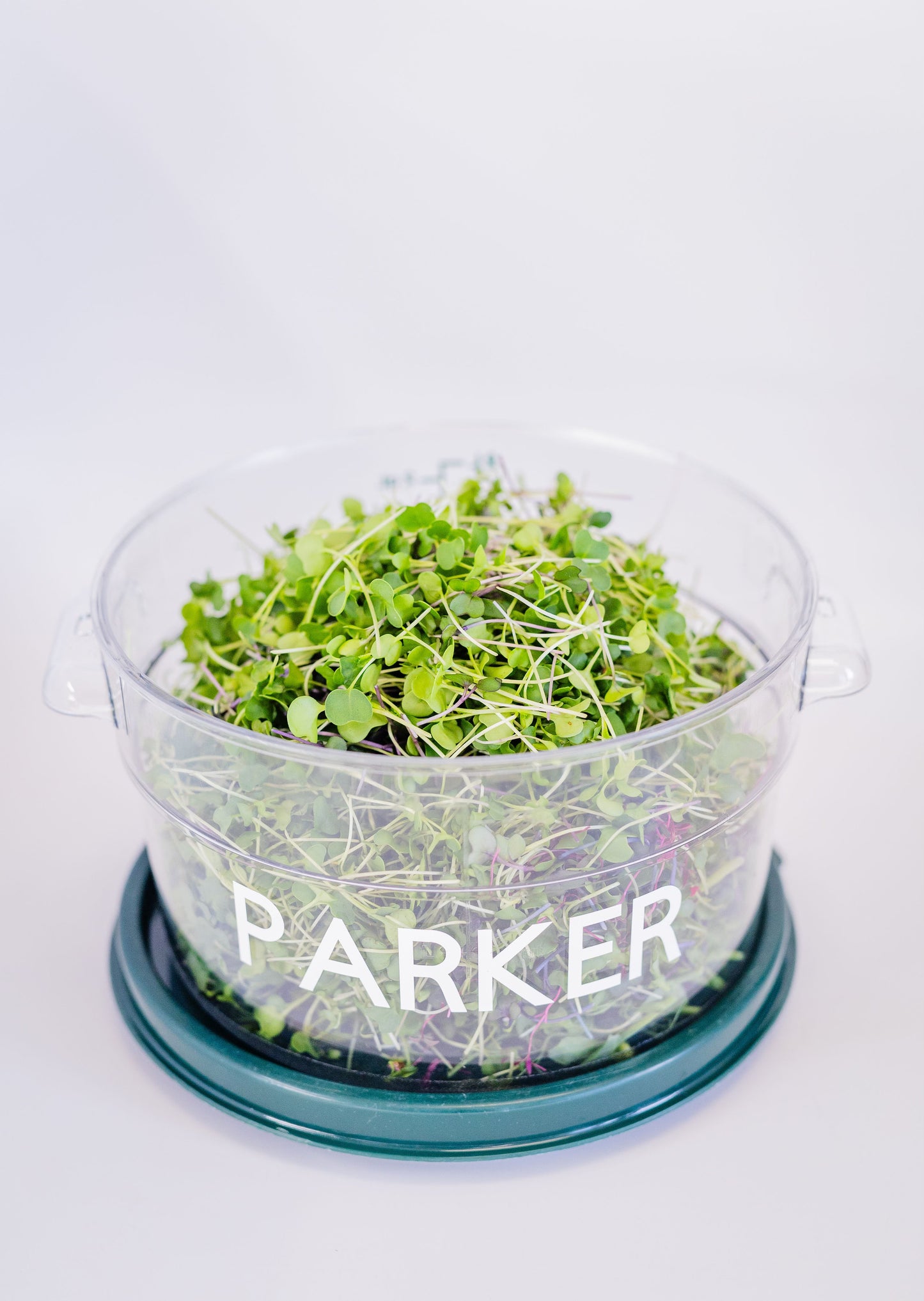 GreenKeepers - Customized Container
