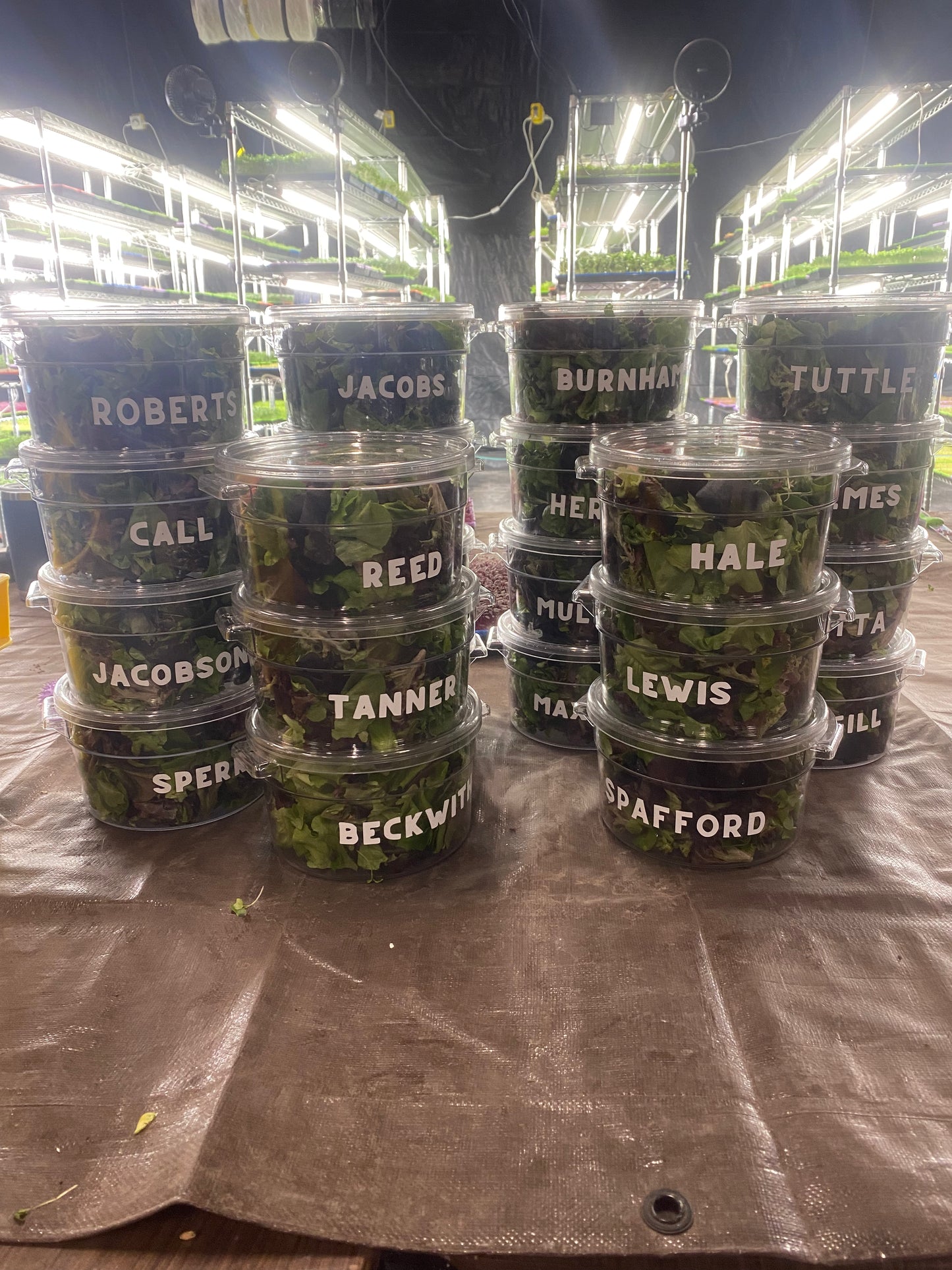 GreenKeepers - Customized Container
