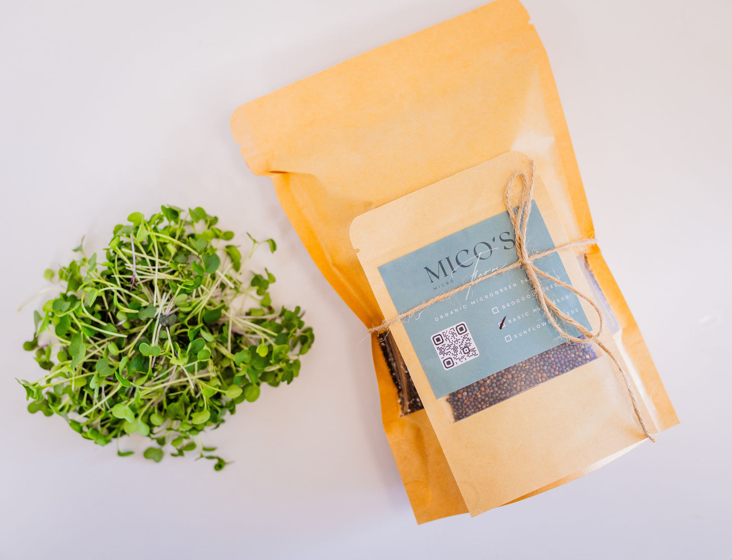 Basic Salad Mix Seed Pack