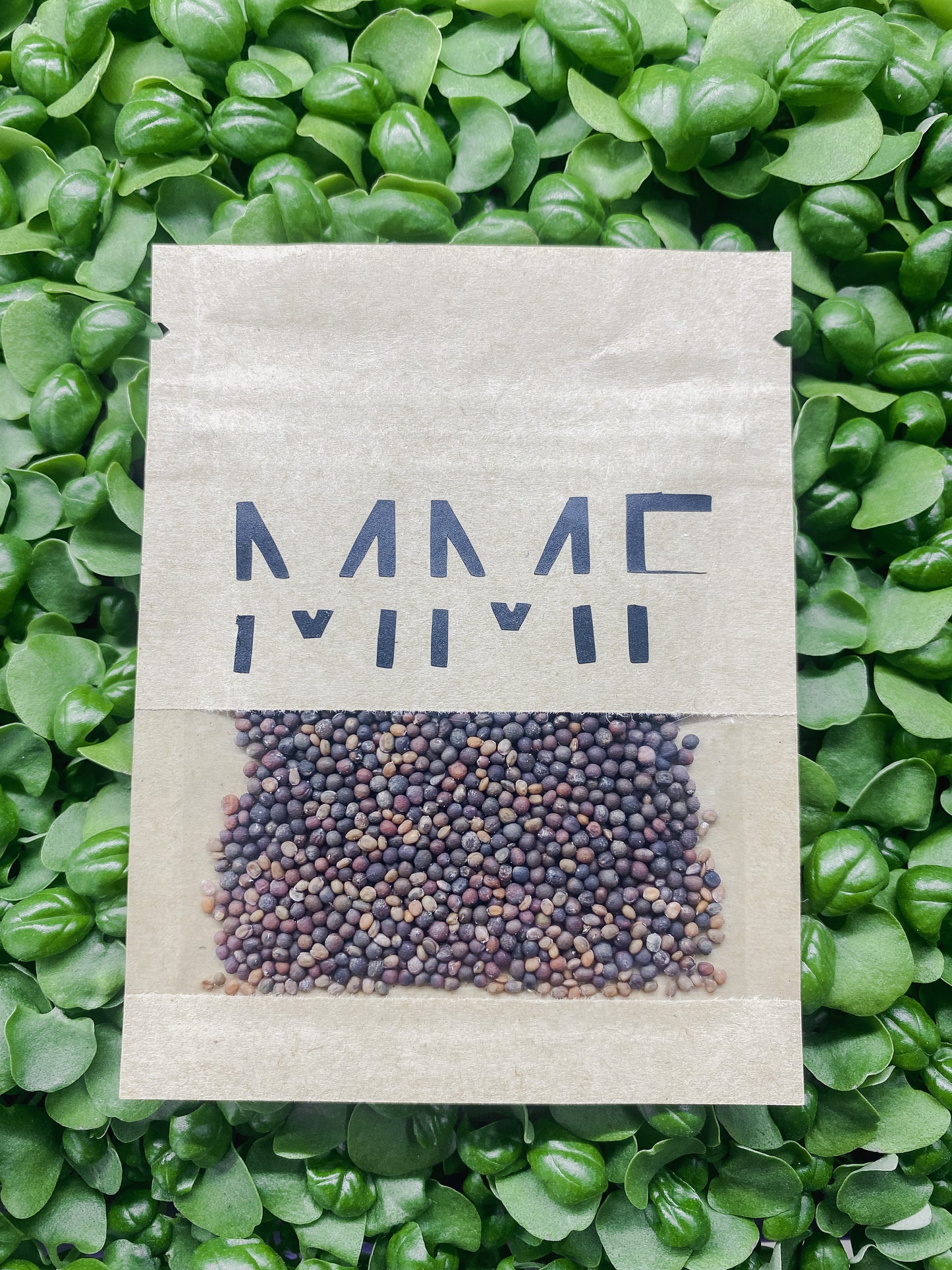 Microgreens Starter Kit