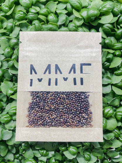 Microgreens Starter Kit