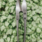 Microgreens Starter Kit