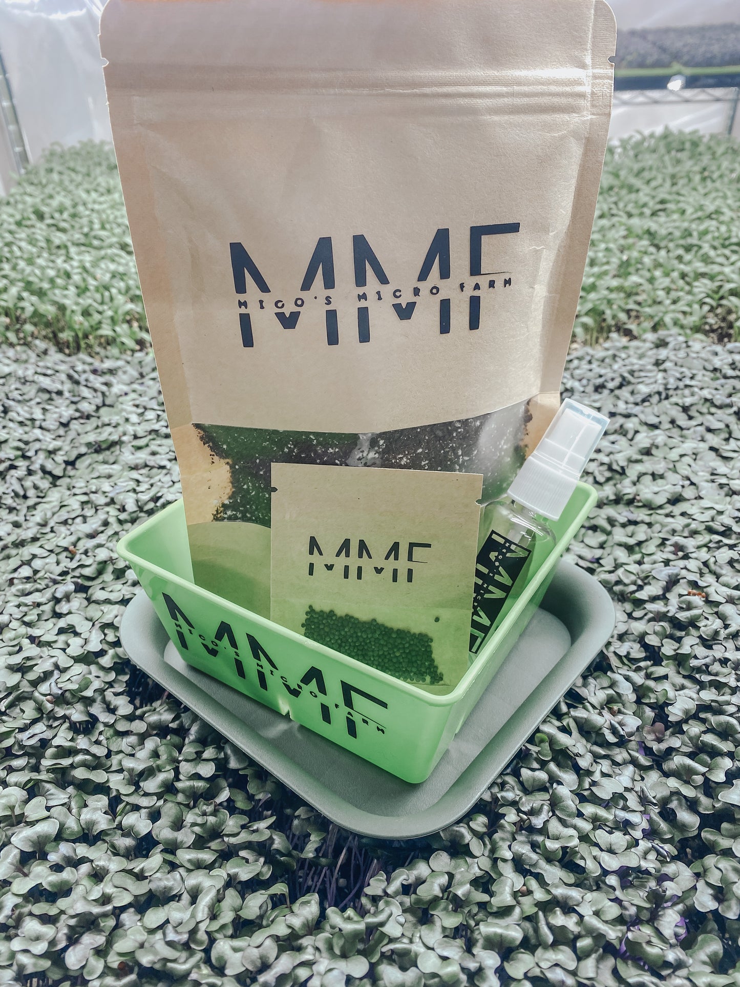Microgreens Starter Kit